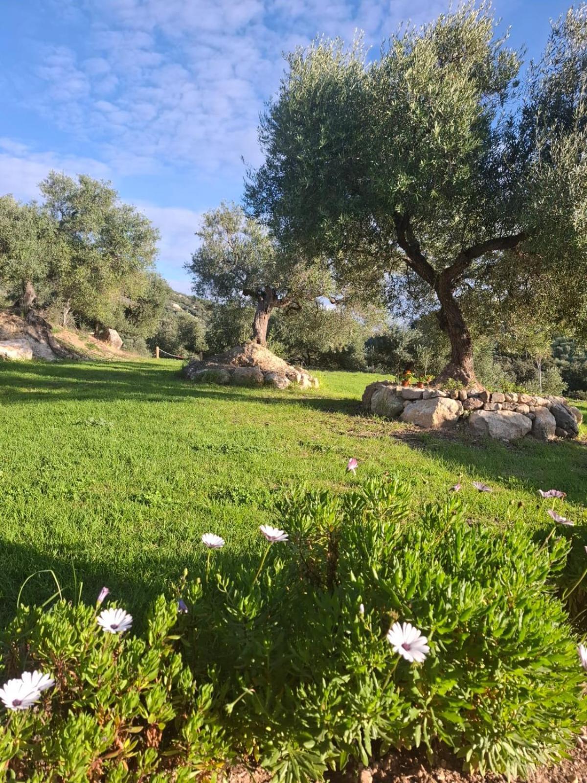 Villa Hacienda Molino Nuevo Algodonales Exterior foto